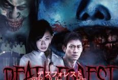 森2在线观看,沉浸式森林探险之旅